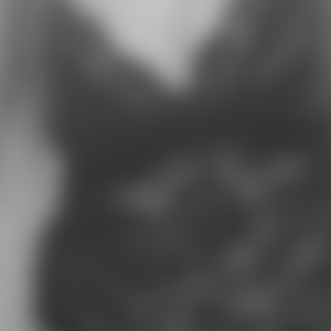 rencontre-Trans-Nice