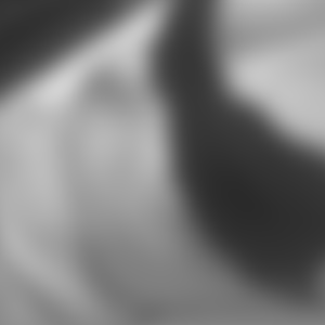 rencontre-Trans-Commercy