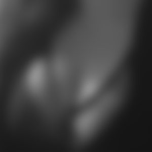 rencontre-Trans-Anglet